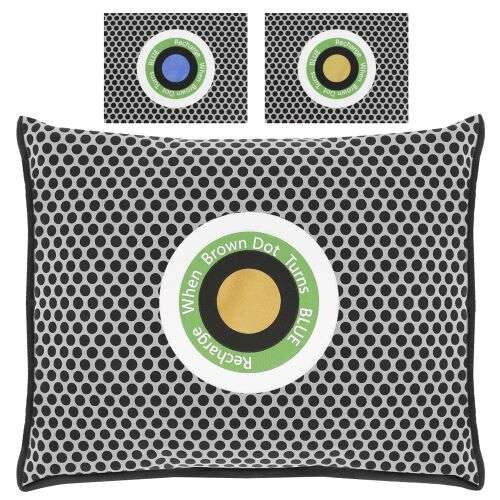 GAISA SAUSINĀTĀJS / MITRUMA ABSORBENTS AUTOMOBIĻIEM